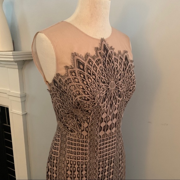 BCBG MaxAzria blush & black lace dress NEW nude - Picture 4 of 16